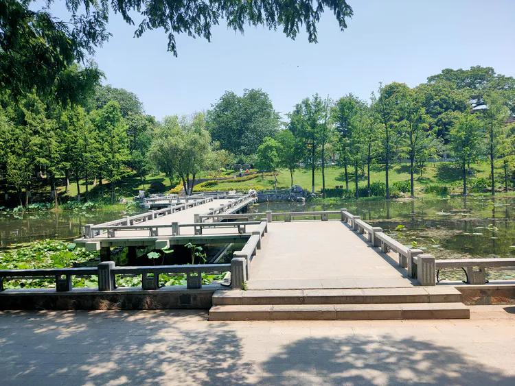 曾作为禁地，与外界隔绝二百六十多年的“玄武湖”，今日锣鼓喧天