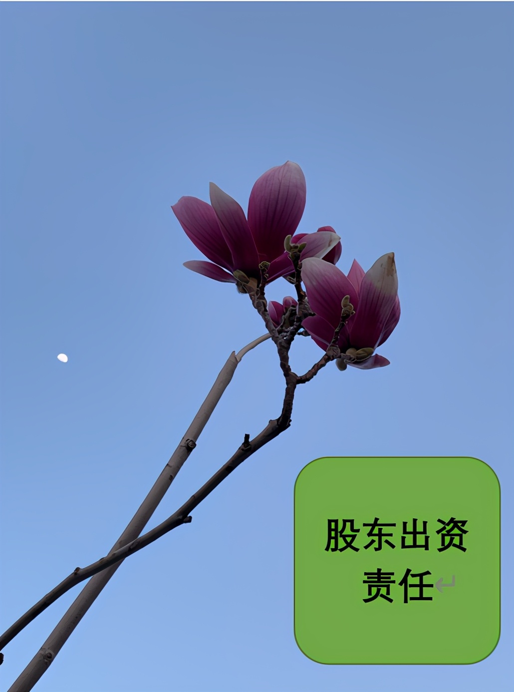 干股要承担亏损和刑事责任吗,干股参与经营需要负法律责任吗