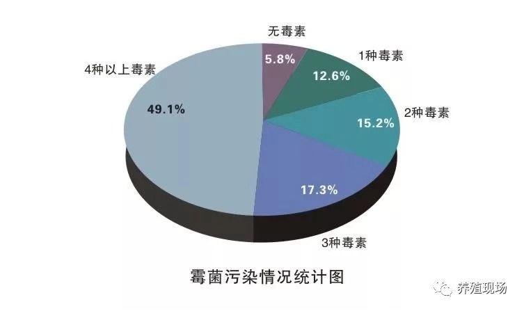 养鸡场霉菌的危害,鸡场霉菌毒素