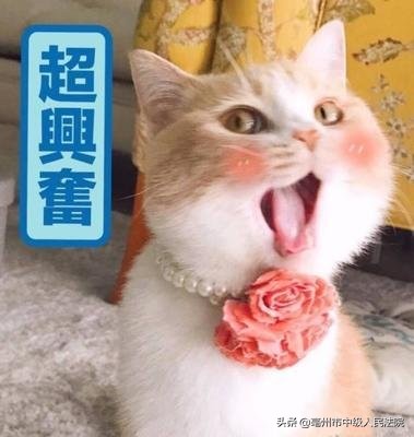 高铁失信限制多久,高铁从风险地区来要登记吗