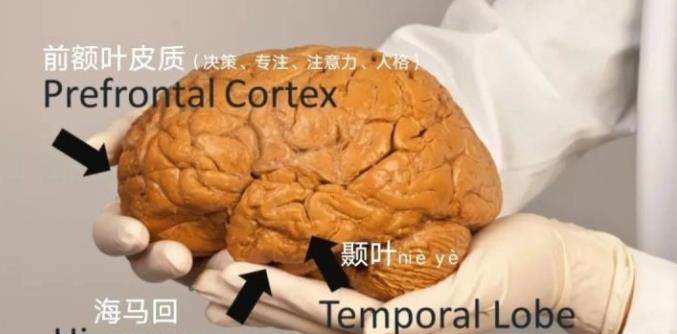 三好学生视力降低标准,视力下降0.1不能评三好学生的看法