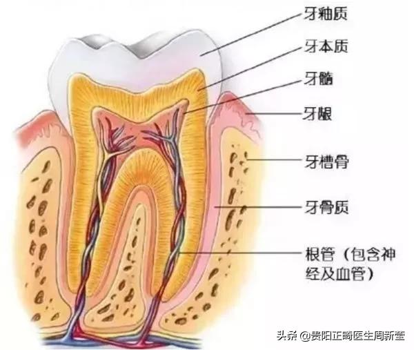 变美干货分享轻医美,矫正牙齿小干货