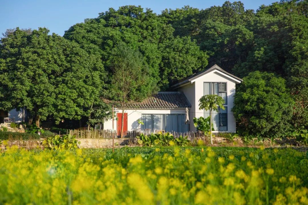 “惠阳八景”视频上线，快来感受将军故里新风采！