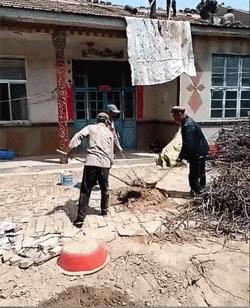 小萝莉搞笑图片,搞笑gif我知道你是个妹子