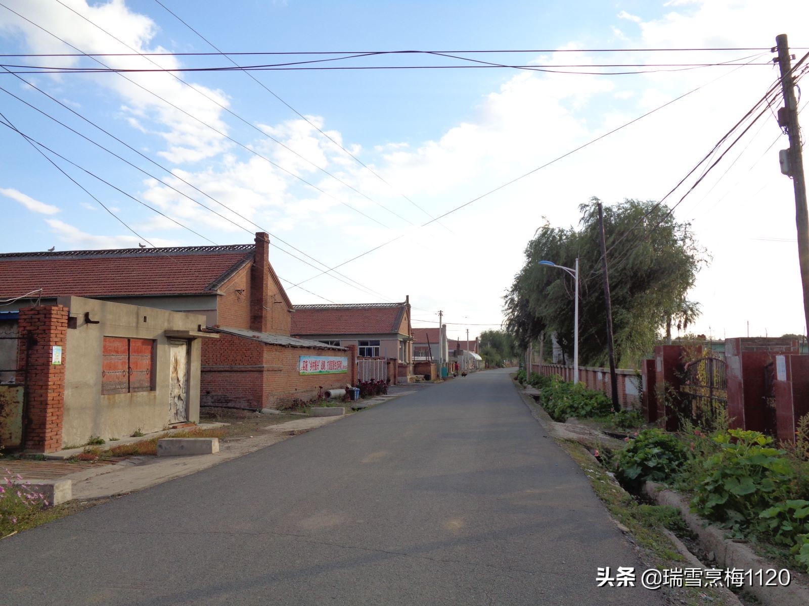 沈北新区依路村,沈北新区马刚乡地图