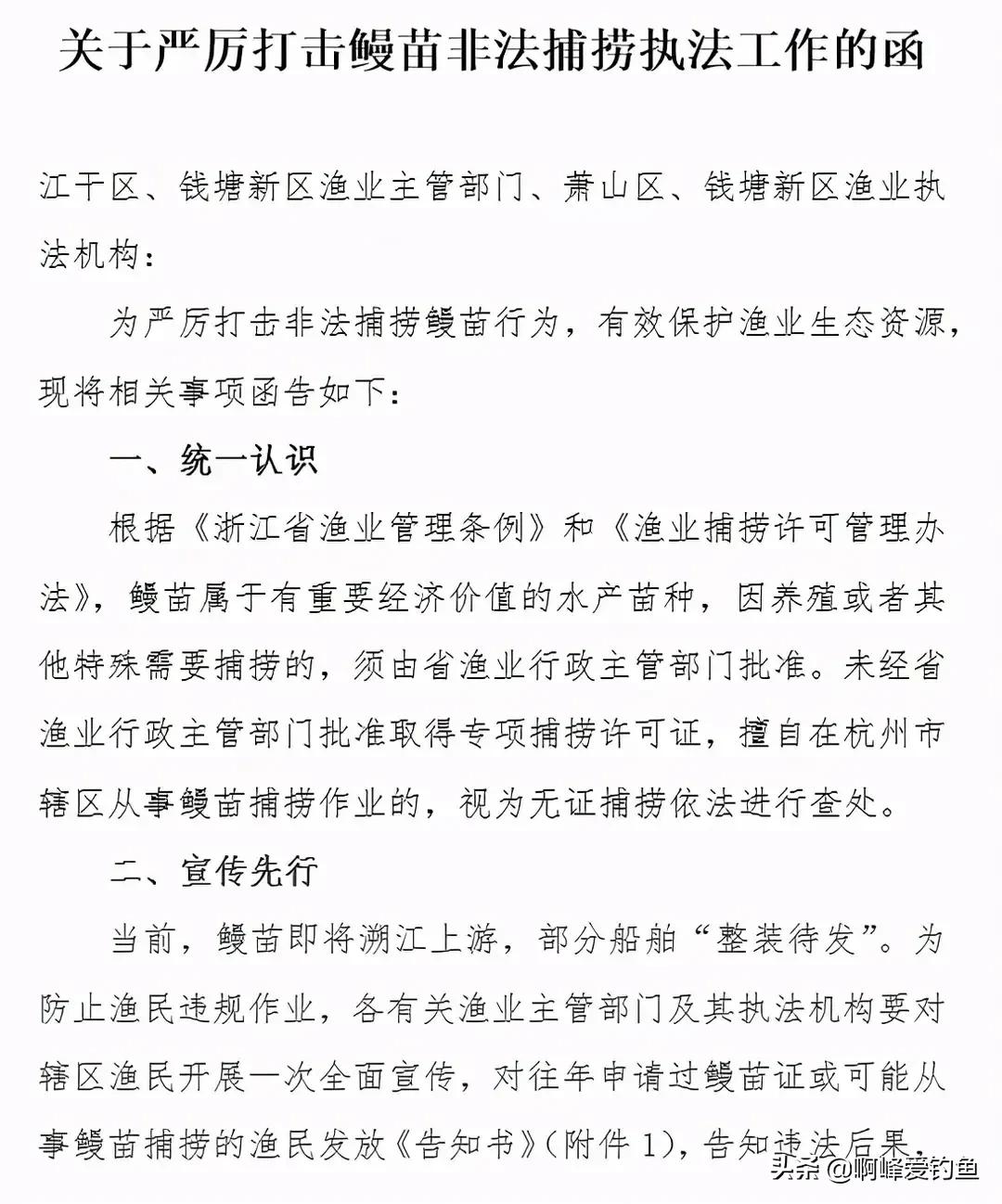 价值6.5万的河鳗，他却选择放生！同为鳗鱼，河鳗为何如此昂贵