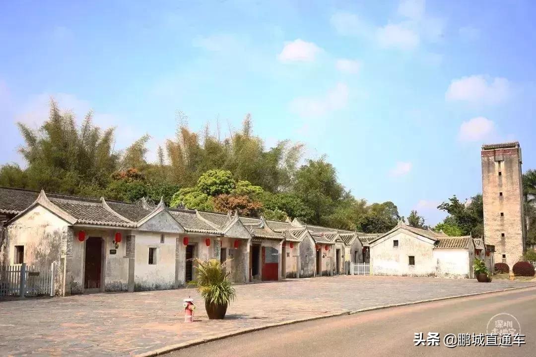 深圳60个最适合一日免费景点,暑假深圳旅游必去十大景点