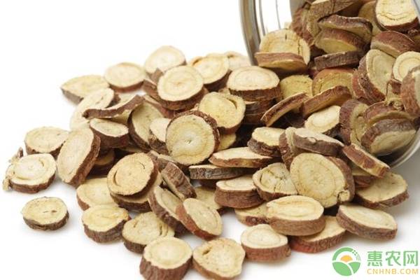 甘草的生长环境与功效,甘草认识与种植