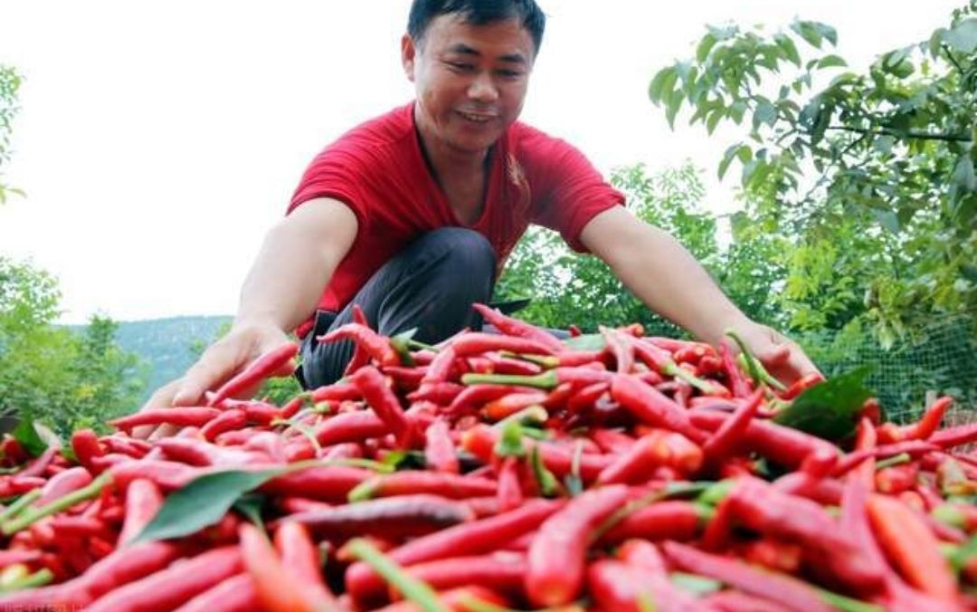 外出务工父母怎样提前与孩子沟通,父母外出打工不能陪孩子