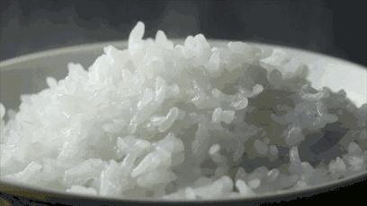 目前好的电饭煲品牌有哪些,十大不建议买电饭煲的品牌有哪些