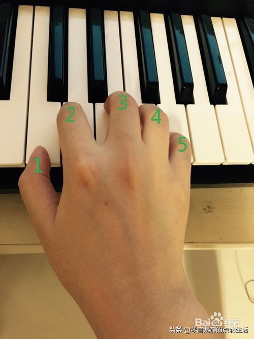 自学电子琴入门电子琴指法如何学,零基础弹电子琴教程母亲