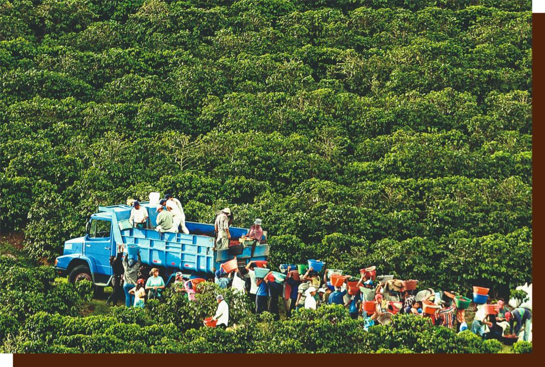 如何点一杯咖啡显得专业,如何点一杯美式咖啡