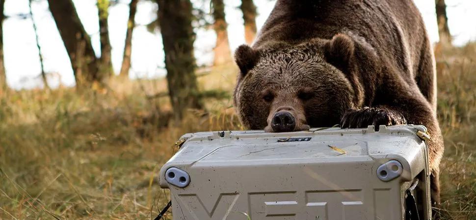 和supreme齐名的品牌,和supreme合作的行李箱