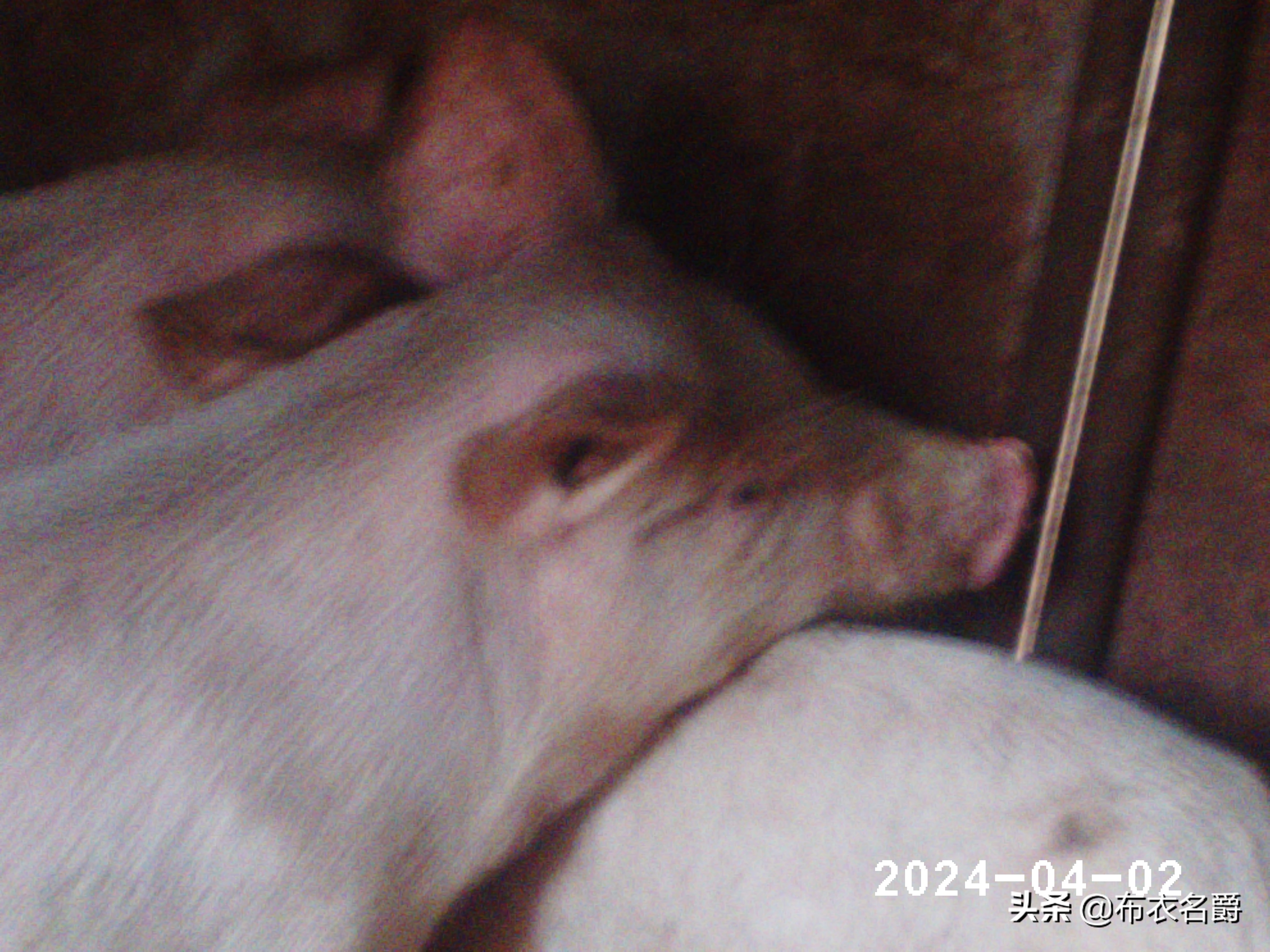 猪螨虫病怎么治,牛犊螨虫怎么治疗