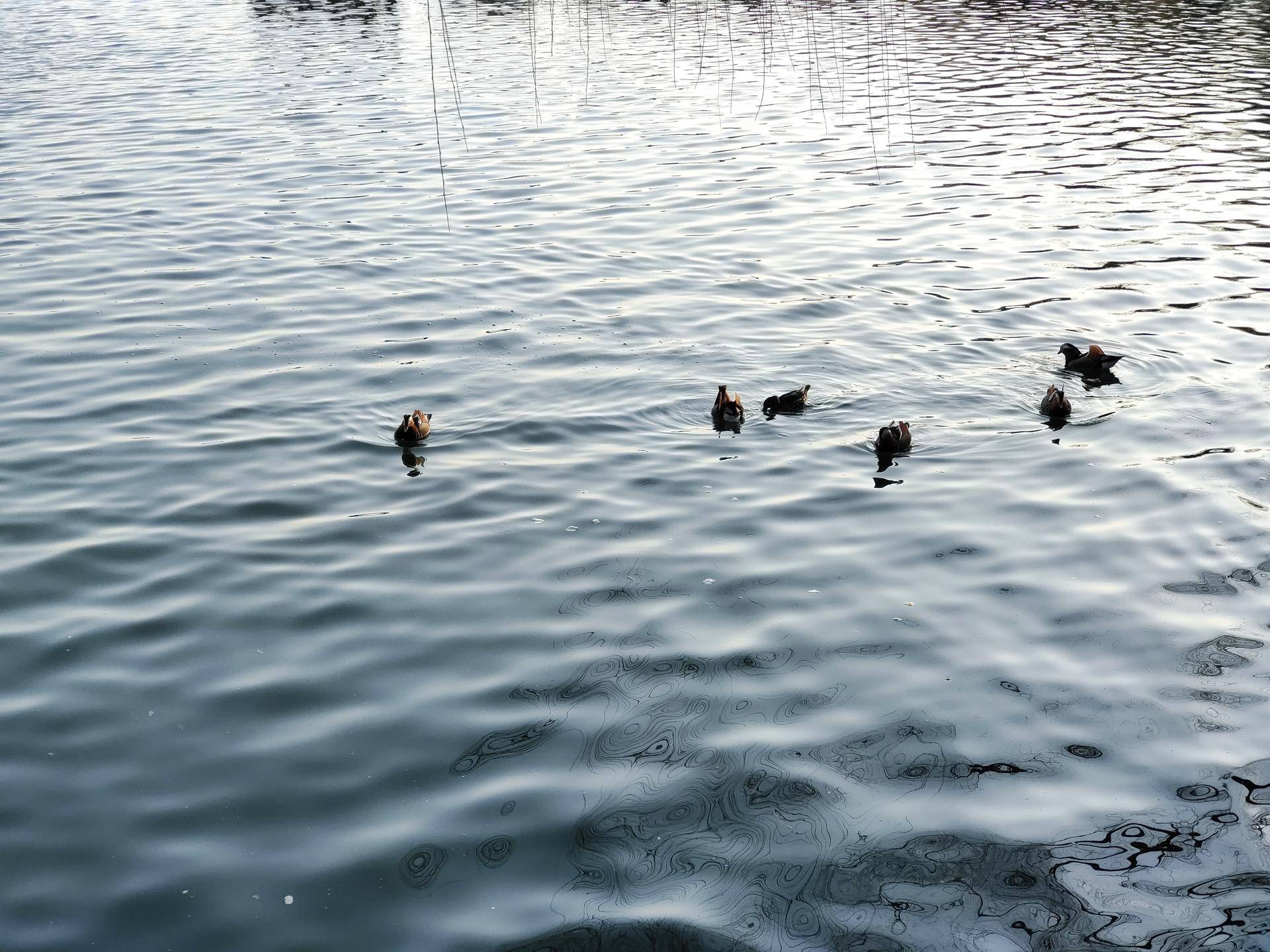 iqooz3定位有问题,iqoou3定位