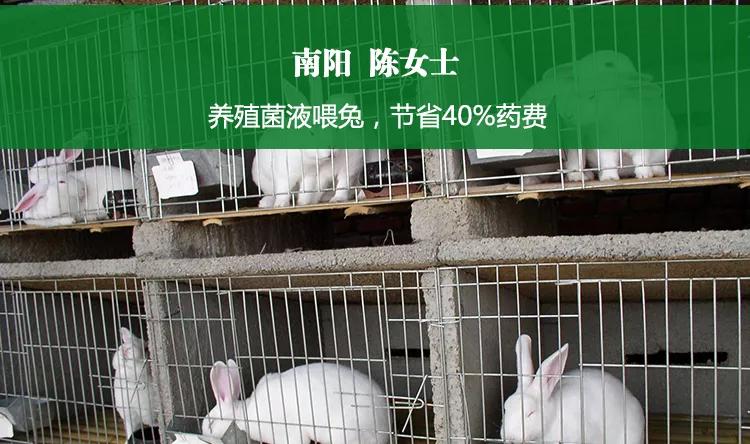 当前养殖业对益生菌的误解,养殖专用的益生菌