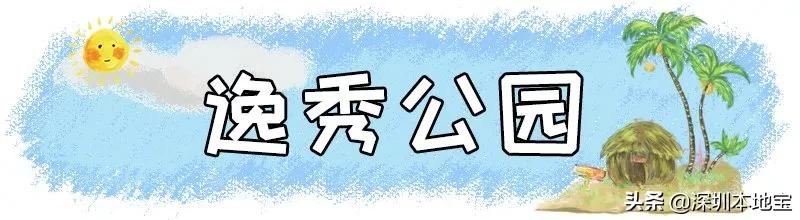 深圳完全免费的十大景点,深圳10大免费景点上集