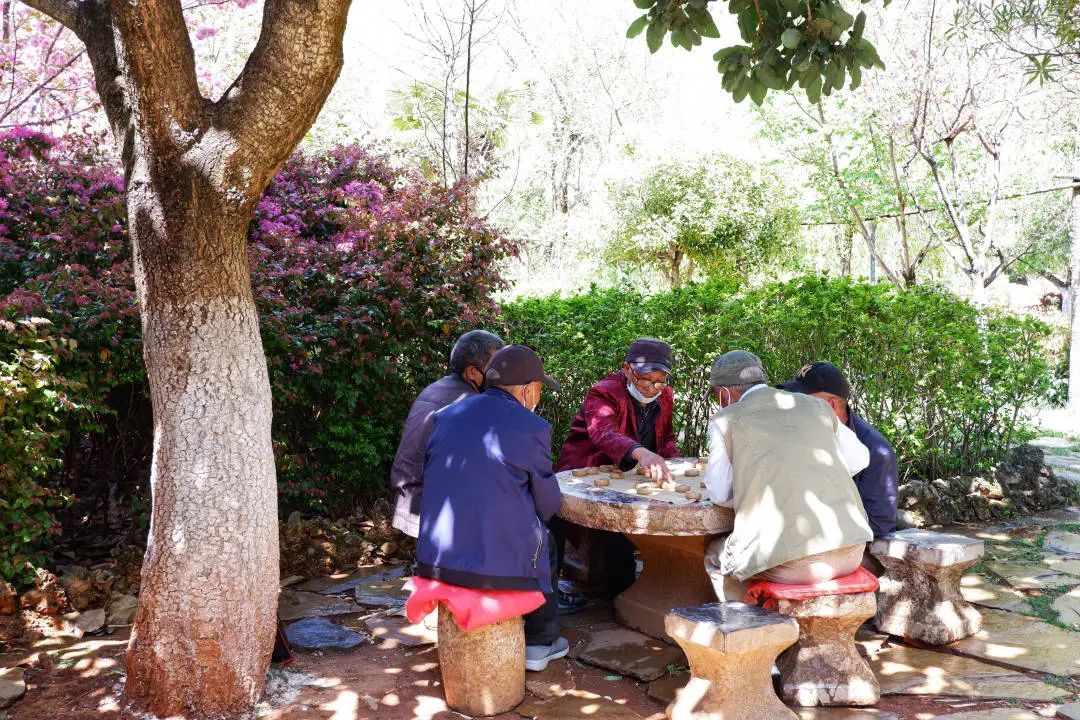 丽江最美的100张图片,丽江十大写真馆盘点