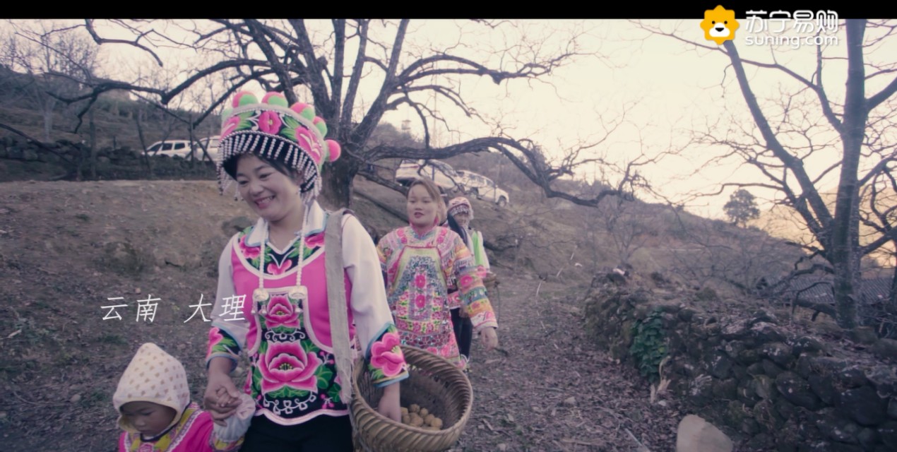 2020年苏宁易购年货节,苏宁年货节火热中