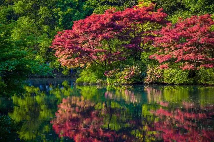 杭州攻略7大必去景点,杭州旅游攻略建议去和不建议去