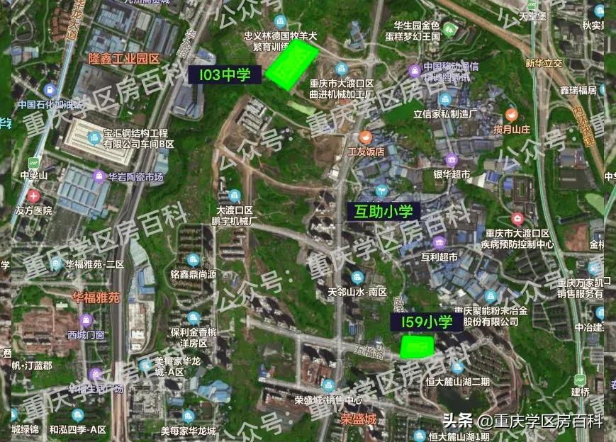 大渡口跳蹬有小学吗,大渡口跳蹬新建学校