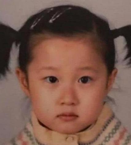 成龙对小龙女事件有回应吗 (小龙女事件对成龙的影响)