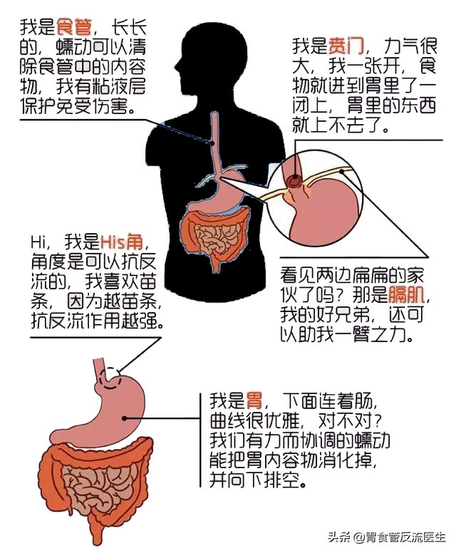反流性食管炎引起咽喉炎怎样用药,有胃炎和反流性食管炎该怎么用药