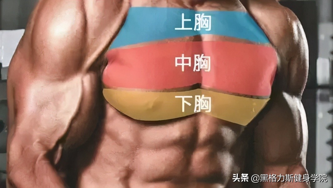 健身练胸小技巧,健身练胸怎么防止越来越厚