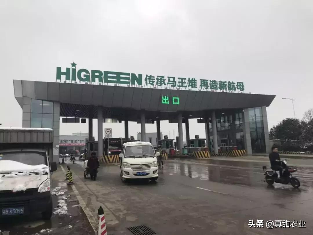 菜农如何搞批发,自己去批发蔬菜进货需要注意什么