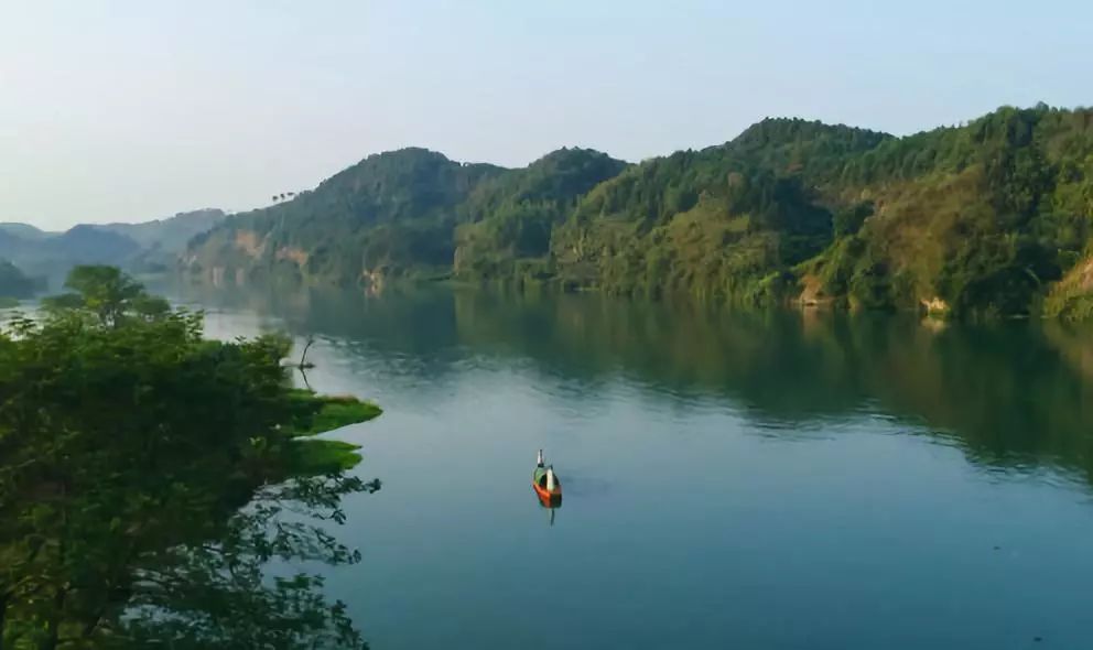 超爽福利暴击！高山神秘“金疙瘩”,甜蜜你的冬天