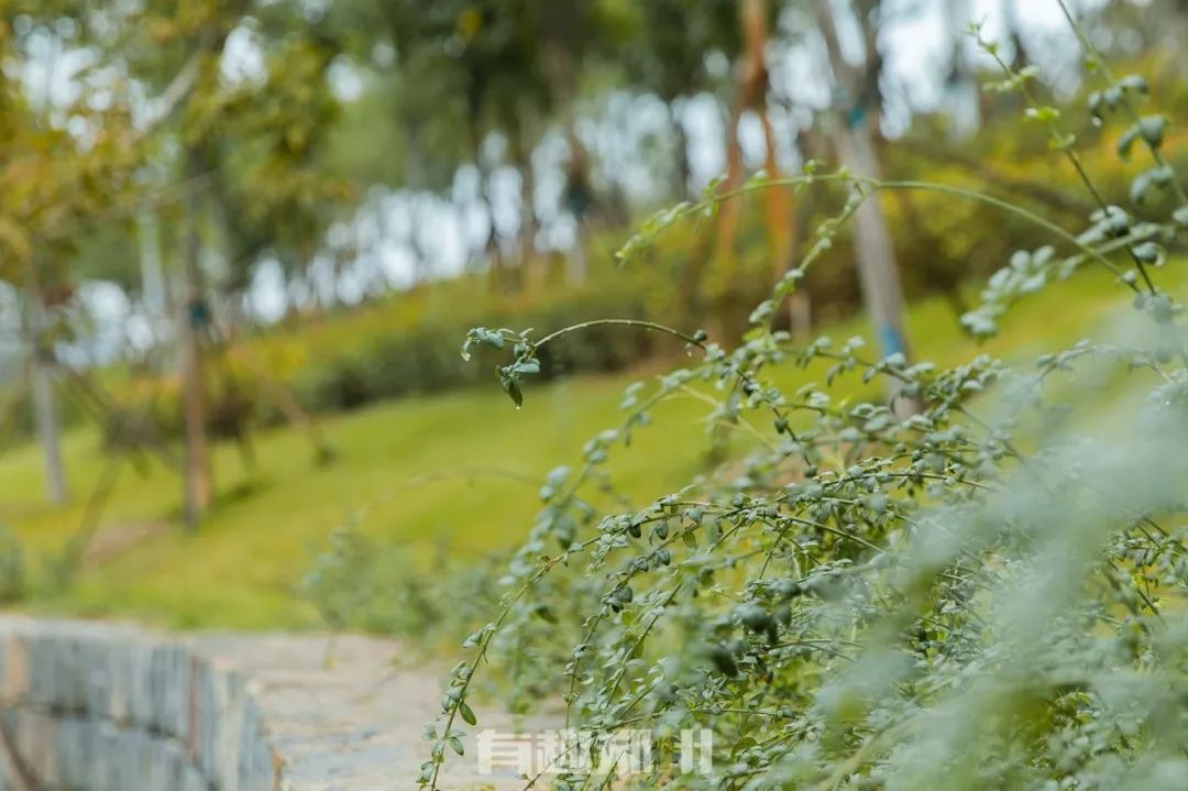 郑州国庆附近免费的景点推荐,国庆假期郑州免费景点