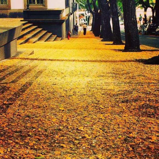 世界最美街景,世界上最美的城市风景