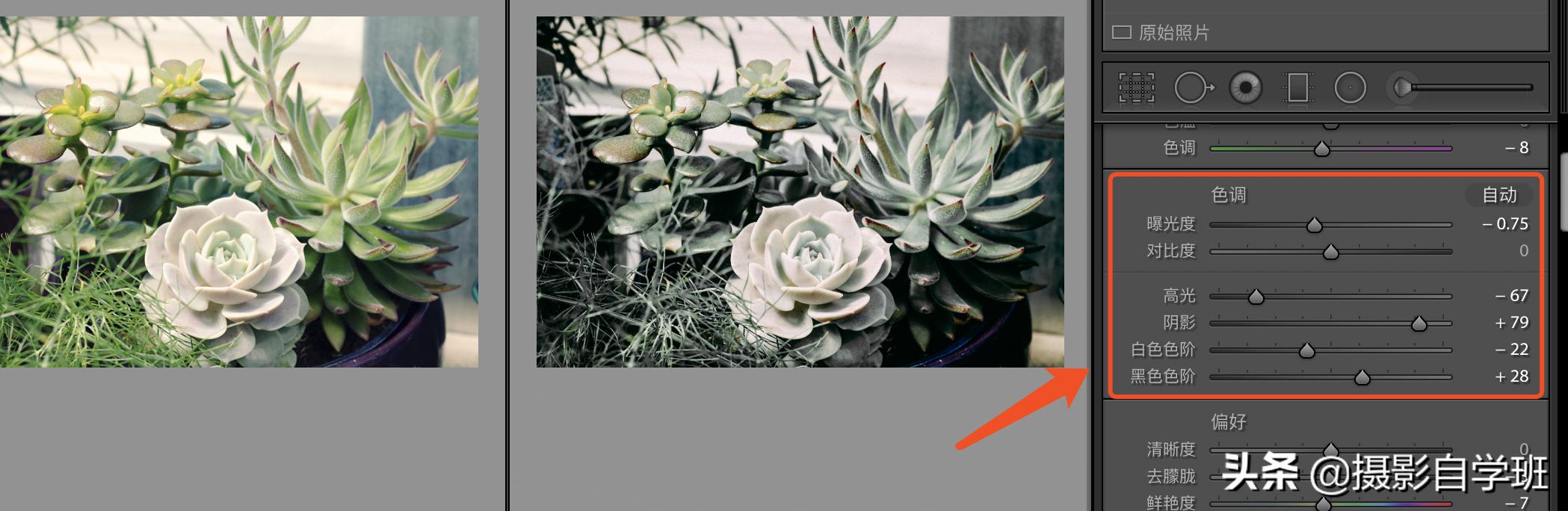 灰色显高级发色,高级灰风格照片的特点和调色方法