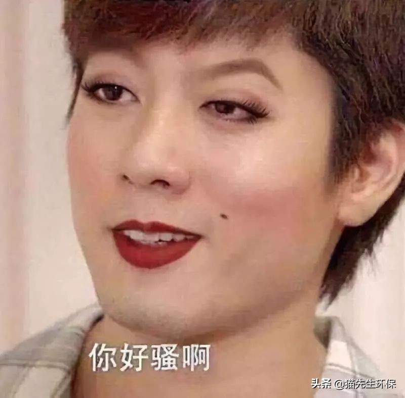 你是什么垃圾？又酸又南的2019年度热词，雨你有瓜