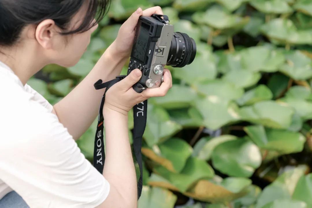 索尼定焦镜头推荐哪个,索尼最值得入手的定焦镜头