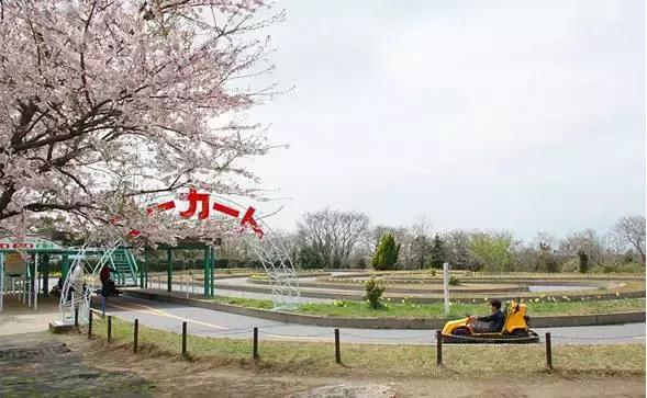 日本顶级农业农场,日本田园农场排行榜