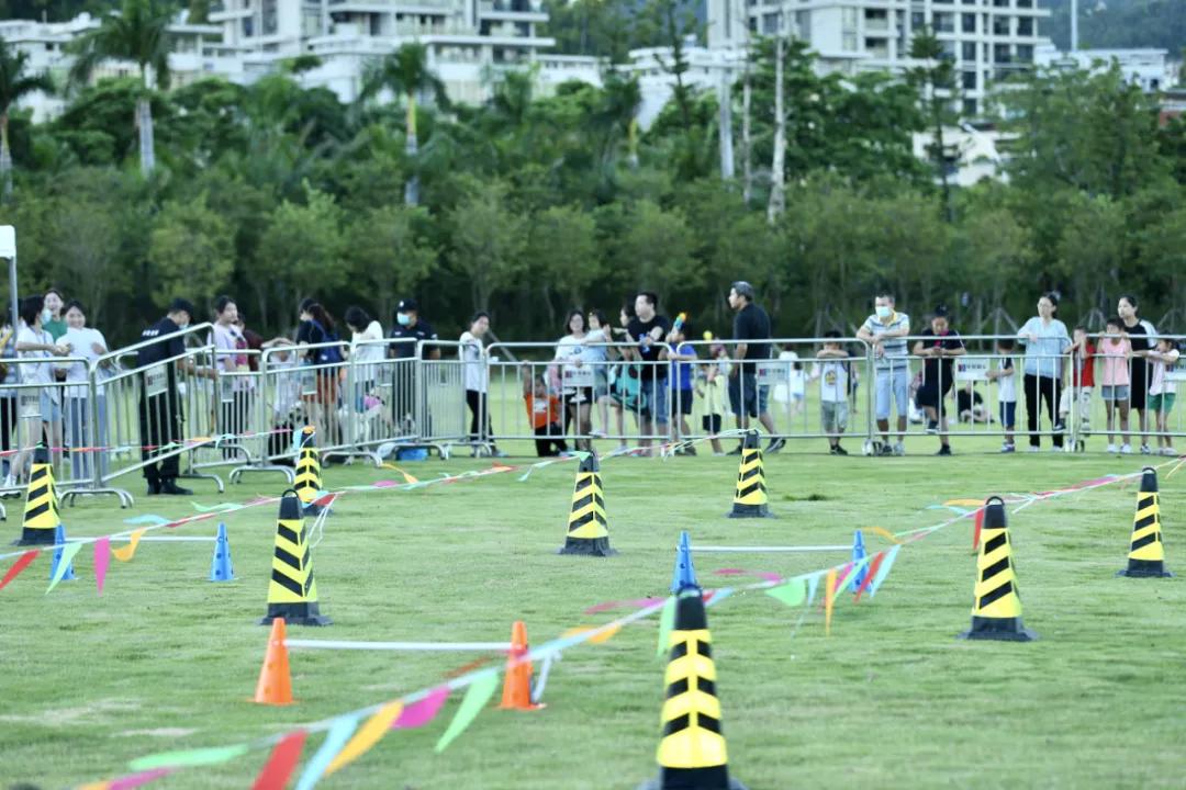 还记得那只C位出道的珠海狗狗么？