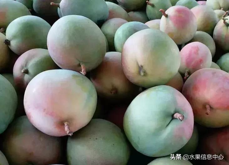 中国水果大全,中国水果大全图片和名字