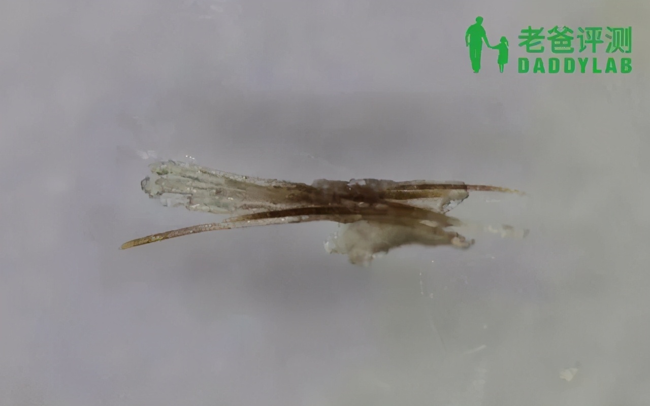 如何用简单的方法去黑头真实有效,别挤了教你去黑头的正确方法