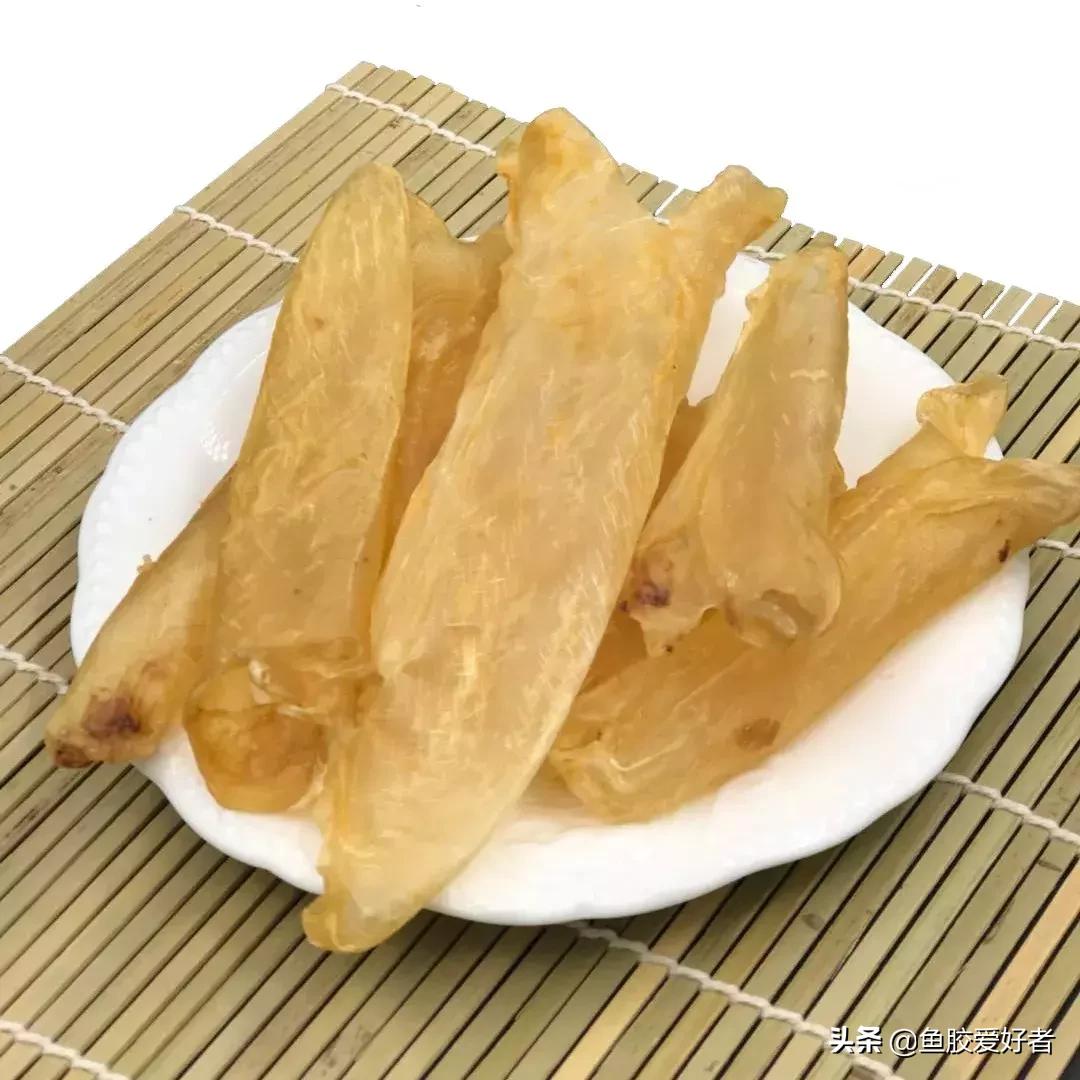 花胶怎么挑选公母,公花胶和母花胶怎样分别