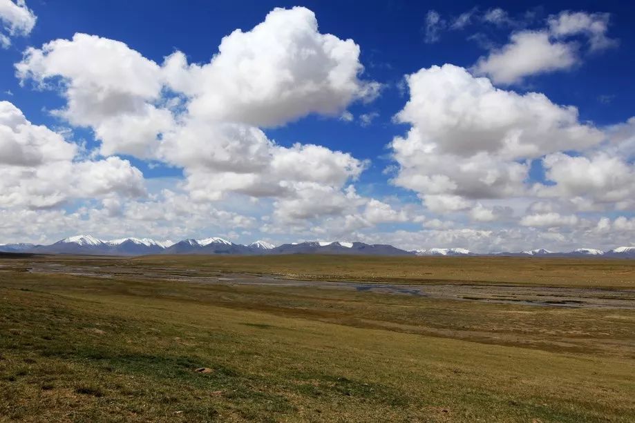 哈拉湖秘境,哈拉湖无人区游玩攻略