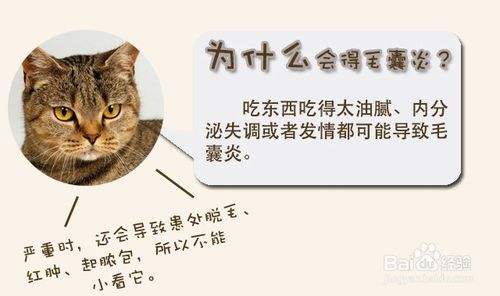 毛囊炎的病因、治疗与预防