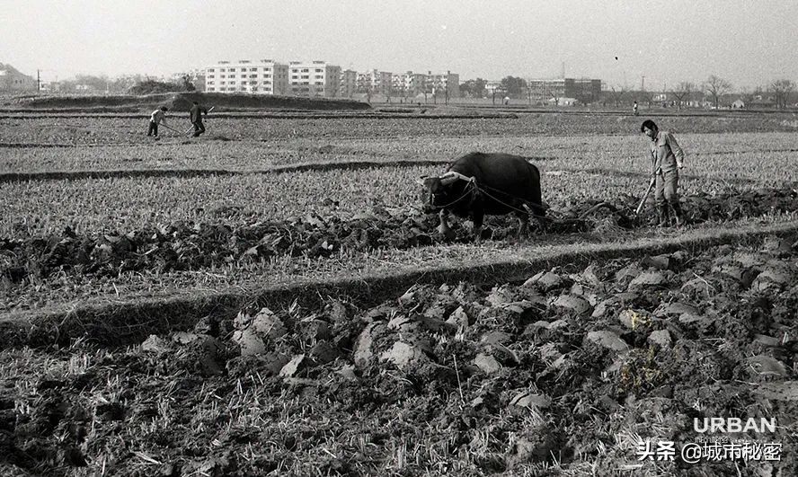杭州文教区房价,杭州大学城北为什么房价那么高
