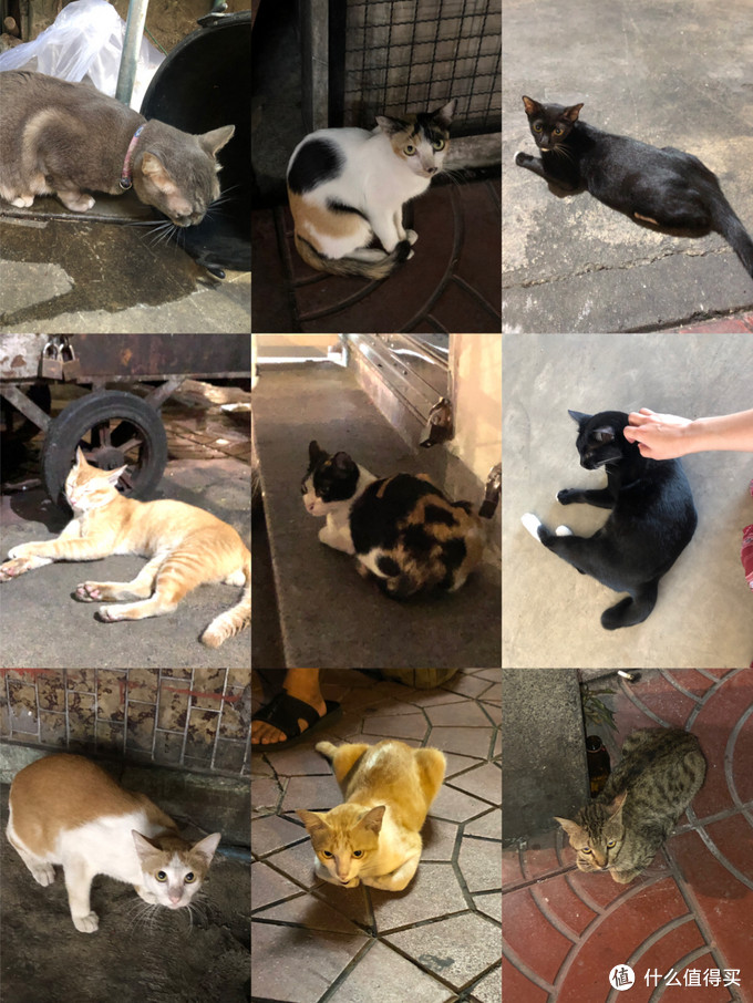 泰国萨瓦迪卡旅行攻略,泰国萨瓦迪卡旅行记