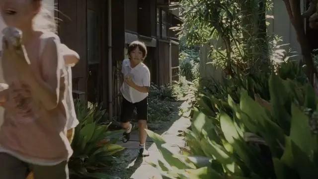 步履不停书籍推荐,步履不停系列电影