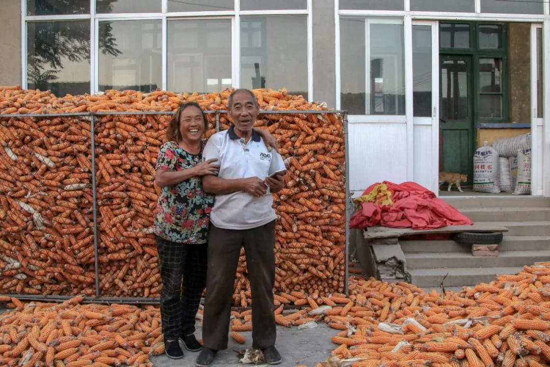 走向我们的小康生活9张海报,幸福新时代主题摄影作品