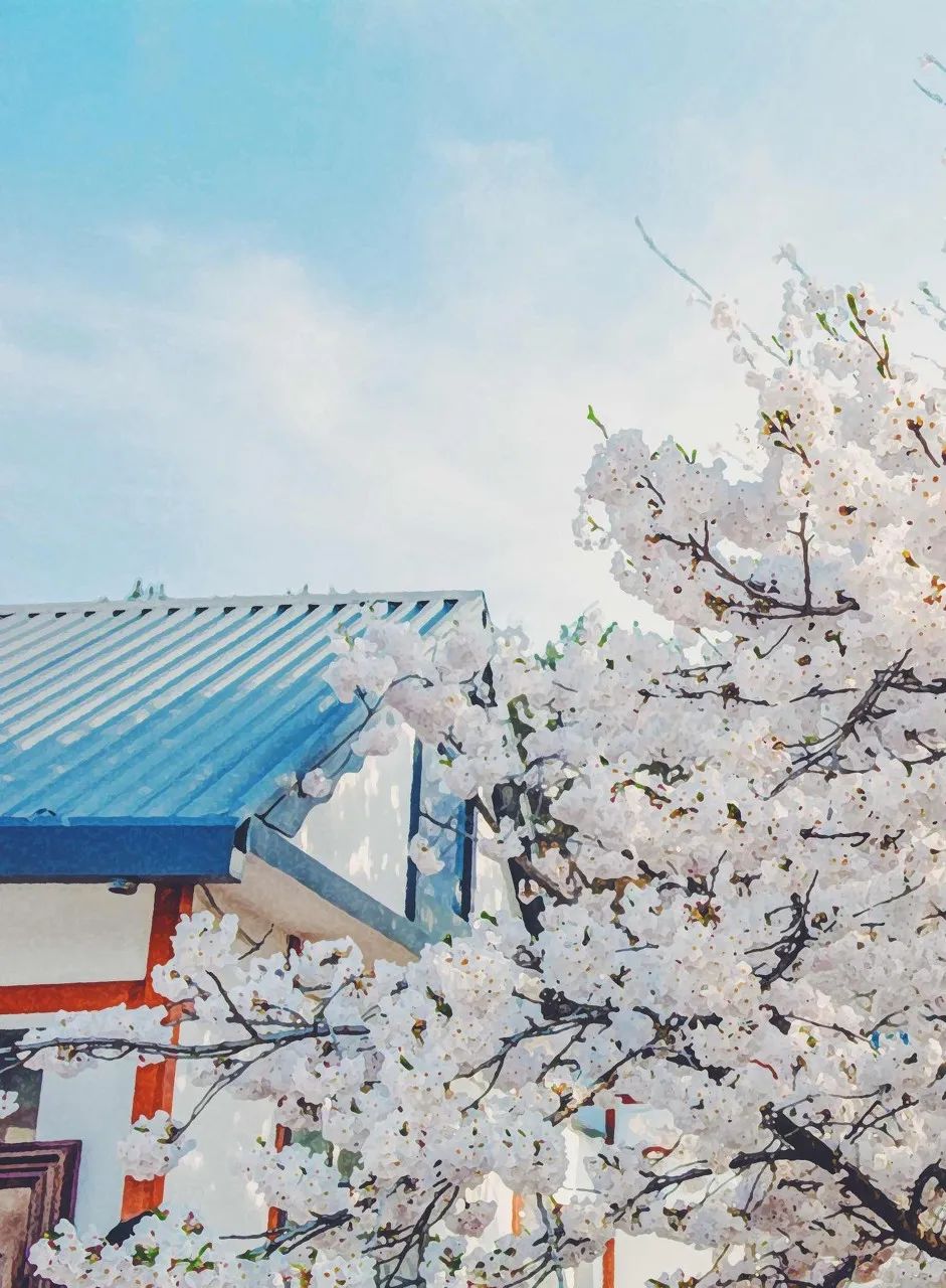 美过三亚!比厦门浪漫!大连这座海滨老城,去一次相当于环游世界