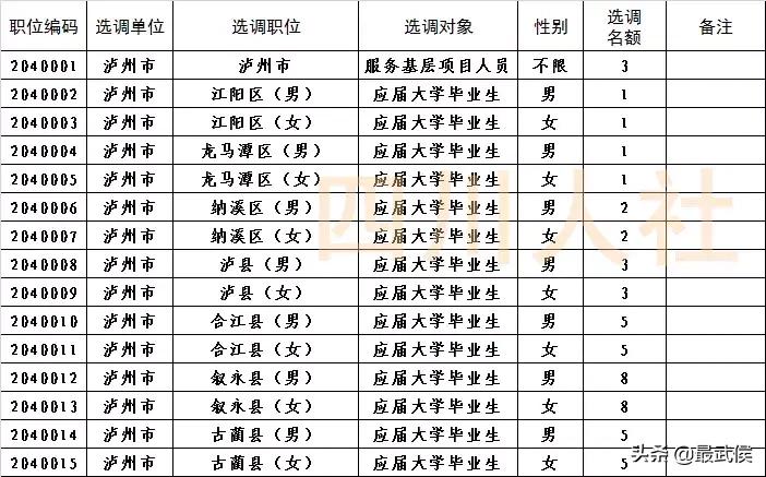 四川选调生2024公告职位表,四川选调生2024选调公告条件