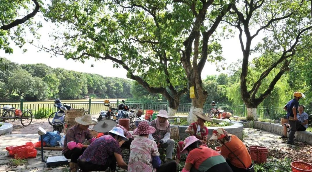 流传千年的风味，那一抹不变幻的甜，是莆田人心头好