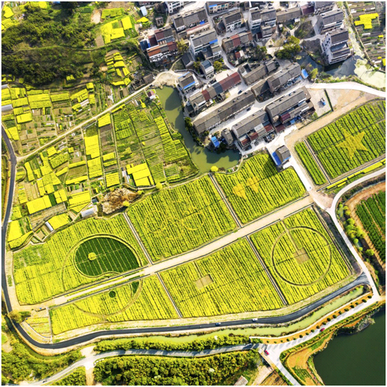 视觉江苏之五：江苏江阴——春风十里，醉美狮山湖！